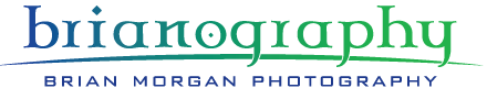 Brianography - Brian Morgan Photography